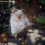 Elias Stroman Profile Picture