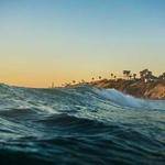 Neoma Gleichner Profile Picture