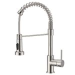 FORIOUS Robinet Cuisine, Mitigeur Cuisine Avec Douchette Pivotant à 360° d'Évier à Arc Élevé Pulvérisateur Escamotable 2 Modes, Acier Inoxydable