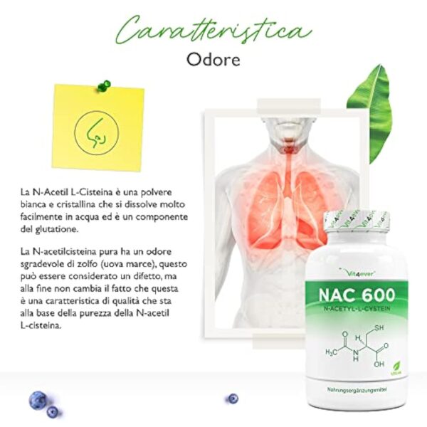 NAC - N-acétyl L-cystéine 180 gélules de 600 mg chacune - 6 mois d'approvisionnement - Végétalien - Haute dose - Qualité Premium – Image 3