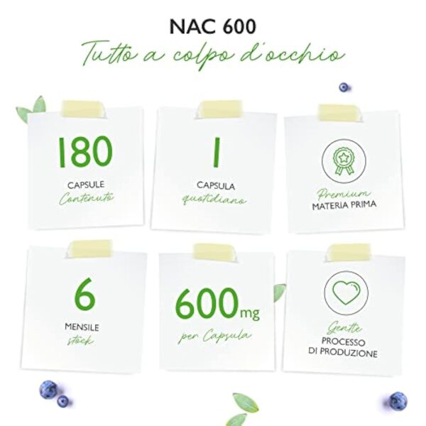 NAC - N-acétyl L-cystéine 180 gélules de 600 mg chacune - 6 mois d'approvisionnement - Végétalien - Haute dose - Qualité Premium – Image 4