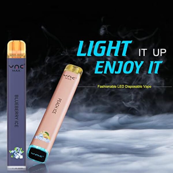 VAPORVERSE Paquet de 4 Cigarette électronique Jetable 600 Bouffées Sans Nicotine Vapoteuse Electronique Fruité Puff Vape Kit de démarrage (Pêche + Myrtille + Fraise + Pastèque) – Image 8