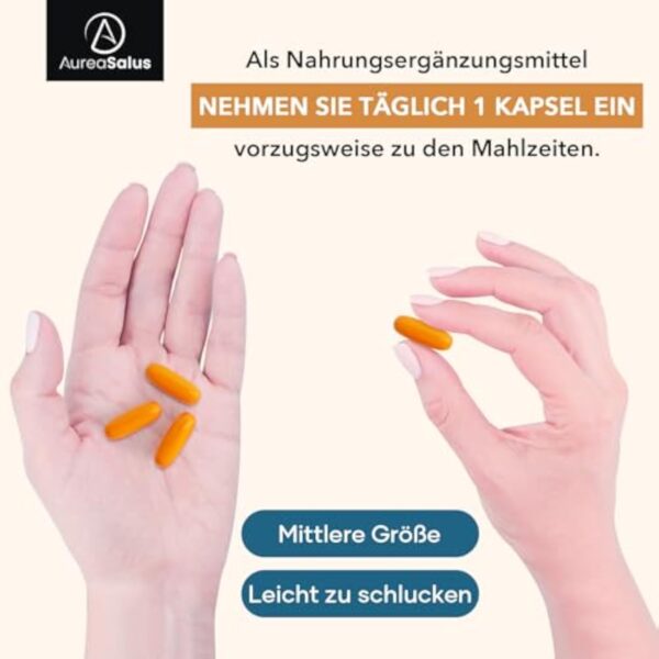 Apigenin 600 mg, Supplément d'apigénine Liposomale Extra fort Avec Fisétine, Quercétine et Théaflavines (60 Unité (Lot de 3)) – Image 5