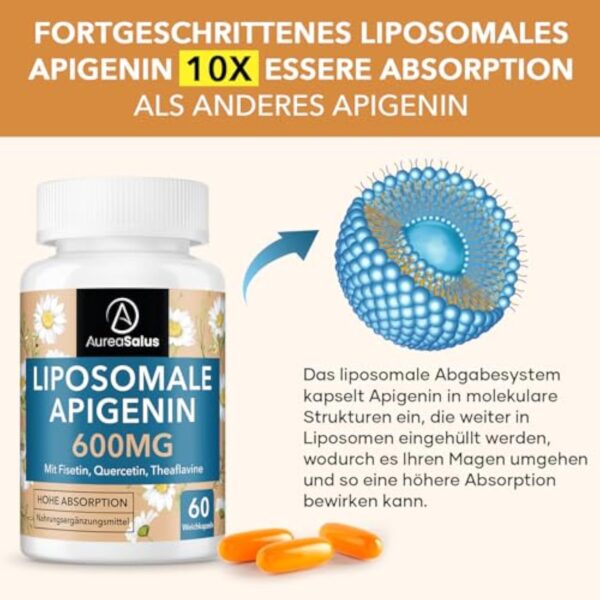 Apigenin 600 mg, Supplément d'apigénine Liposomale Extra fort Avec Fisétine, Quercétine et Théaflavines (60 Unité (Lot de 3)) – Image 7