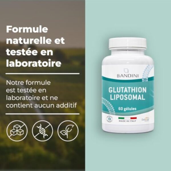 Bandini® Glutathion Liposomal Réduit 60 Gélules, Forme Active L-Glutathion (Setria) Réductase Bioactif, Haut Dosage, Absorption & Biodisponibilité, L Glutathione Puissant Antioxydant Naturel Anti-âge – Image 5