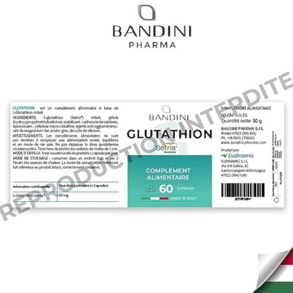 Bandini® Glutathion Liposomal Réduit 60 Gélules, Forme Active L-Glutathion (Setria) Réductase Bioactif, Haut Dosage, Absorption & Biodisponibilité, L Glutathione Puissant Antioxydant Naturel Anti-âge – Image 8