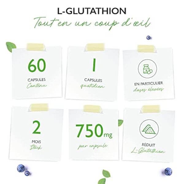 L-Glutathion avec 750 mg par gélule - Premium : glutathion réduit & bioactif issu de la fermentation - 60 gélules - fortement dosé - végétalien – Image 3