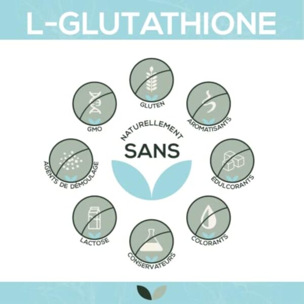 L-Glutathion réduit 300 mg par gélule | 90 gélules | sous forme biologiquement active | hautement dosé | bonne biodisponibilité et tolérance | végétalien | emballage 100% papier – Image 3