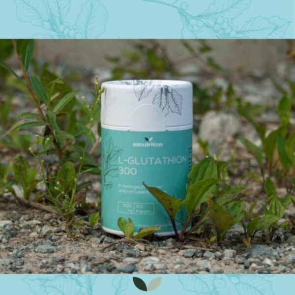 L-Glutathion réduit 300 mg par gélule | 90 gélules | sous forme biologiquement active | hautement dosé | bonne biodisponibilité et tolérance | végétalien | emballage 100% papier – Image 8