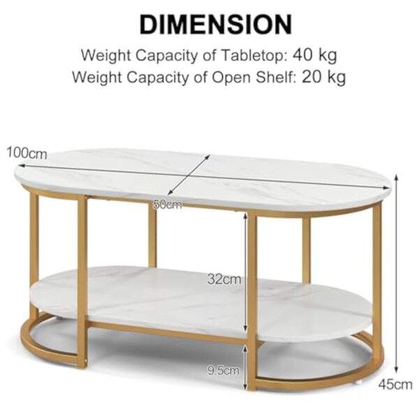 LIFEZEAL Table de Salon Ovale avec Effet de Marbre, Table Basse Moderne à 2 étagères, Meuble de Salon en Bois+Métal, Montage Simple, 100 x 50 x 45 cm, Or – Image 3