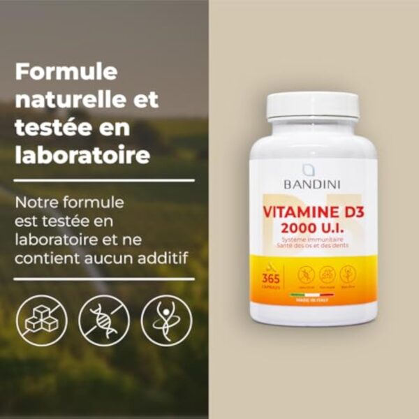 Bandini® Vitamine D3 2000 UI 365 Gélules (1 An) | Vitamin D 50μg avec Huile d’Olive Extra Vierge pour Absorption Optimale | Complément Alimentaire pour les Fonctions Osseuse, Musculaire, Immunitaire – Image 5