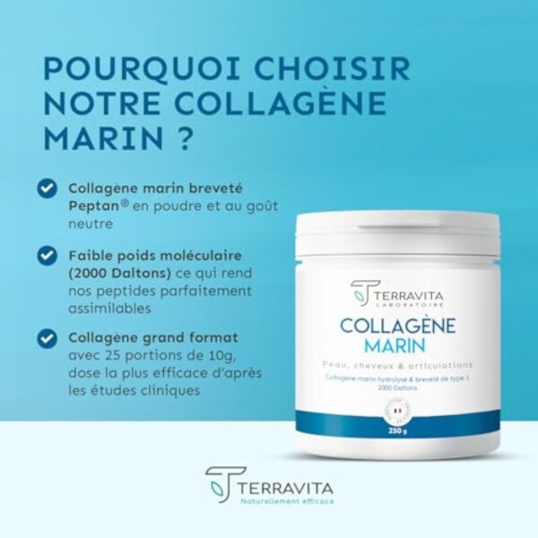 COLLAGÈNE MARIN Breveté en Poudre | 250 Grammes de Peptides de Collagène Purs de Type 1 | Articulations Souples, Peau Lisse et Hydratée | Goût Neutre | Filière 100% Française | Terravita – Image 4