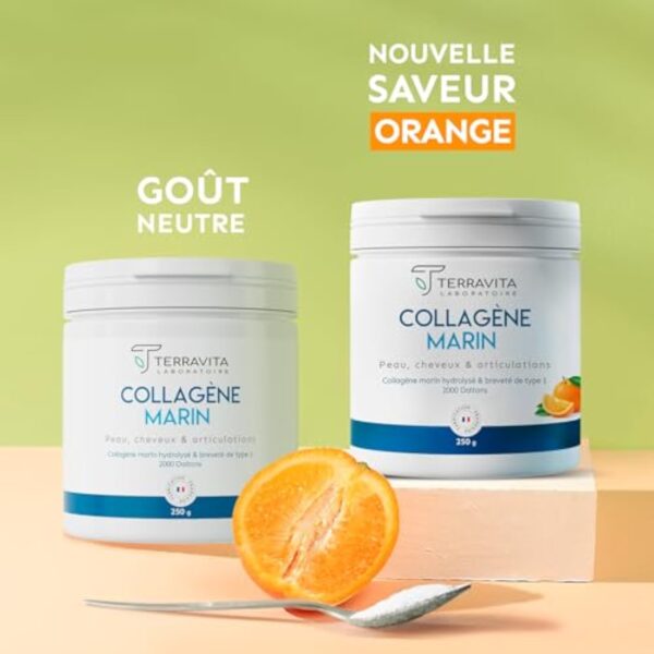 COLLAGÈNE MARIN Breveté en Poudre | 250 Grammes de Peptides de Collagène Purs de Type 1 | Articulations Souples, Peau Lisse et Hydratée | Goût Neutre | Filière 100% Française | Terravita – Image 8