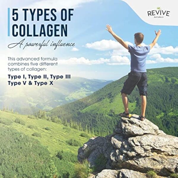 Capsules protéiques multicollagènes - 5 types de peptides de collagène d'origine alimentaire - Bovin hydrolysé nourri à l'herbe, poisson sauvage de mer & poulet en liberté, 120 capsules – Image 6