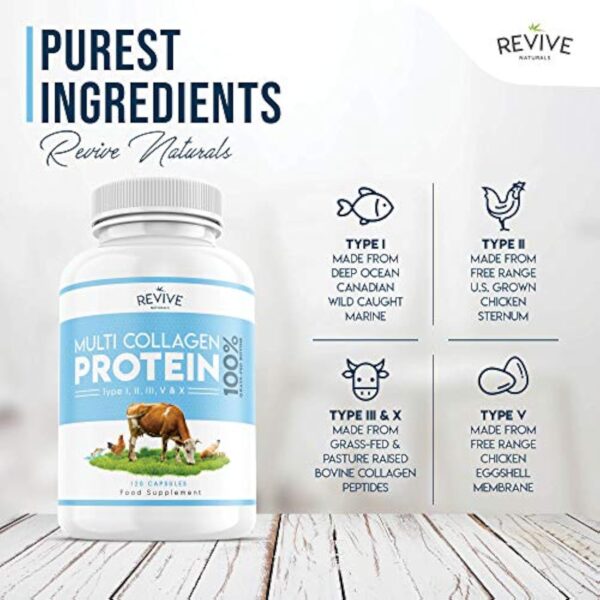 Capsules protéiques multicollagènes - 5 types de peptides de collagène d'origine alimentaire - Bovin hydrolysé nourri à l'herbe, poisson sauvage de mer & poulet en liberté, 120 capsules – Image 8