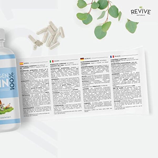 Capsules protéiques multicollagènes - 5 types de peptides de collagène d'origine alimentaire - Bovin hydrolysé nourri à l'herbe, poisson sauvage de mer & poulet en liberté, 120 capsules – Image 9