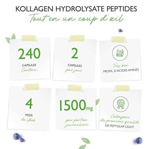 Collagène - 240 gélules - 1500 mg par portion journalière - Premium : 100% collagène hydrolysat peptidique bovin de Peptolap Light - Hautement dosé – Image 4