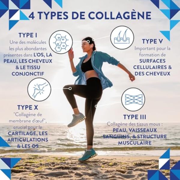 Collagene en Poudre Peptide de Collagene Hydrolisé | Collagene Bovin Certifié 100% Nourri à l’Herbe, Multi Collagène Poudre Type I III V X | Collagene et Acide Hyaluronique Poudre Non Aromatisé 300g – Image 4