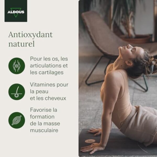 Collagene et Acide Hyaluronique | 120 Gélules | Peptide de Collagene | Collagene Hydrolysé + Acide Hyaluronique + Coenzyme Q10 + Vitamines A, C, D, B12 + Zinc | Peau, Os, Articulations | Anti-âge – Image 5