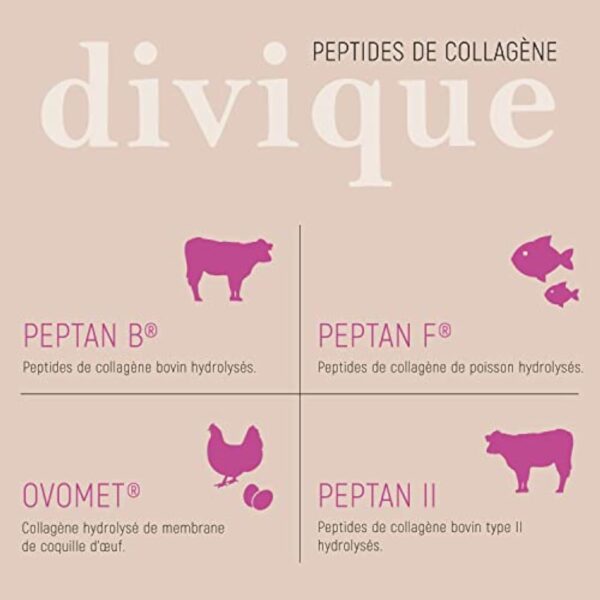 Divique poudre de collagène [500g] - premium multicollagène de type 1, 2, 3, 5, 10-100% peptides de collagène - 10 000 mg de collagène par jour - insipide, soluble, sans additifs – Image 5