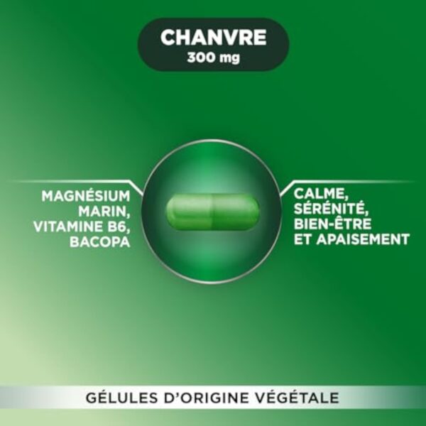 Forté Pharma - Cannabis Sativa 300 - Complément Alimentaire à base de Chanvre, Magnésium Marin et Bacopa - Anti Stress Adulte - 30 gélules – Image 3