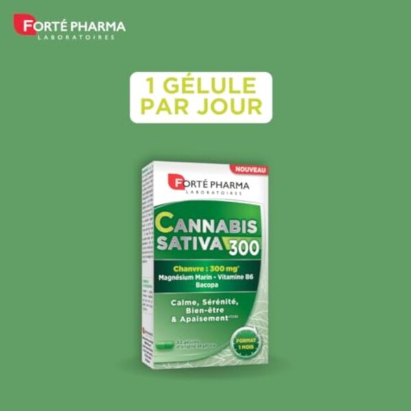 Forté Pharma - Cannabis Sativa 300 - Complément Alimentaire à base de Chanvre, Magnésium Marin et Bacopa - Anti Stress Adulte - 30 gélules – Image 4