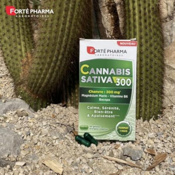 Forté Pharma - Cannabis Sativa 300 - Complément Alimentaire à base de Chanvre, Magnésium Marin et Bacopa - Anti Stress Adulte - 30 gélules – Image 6