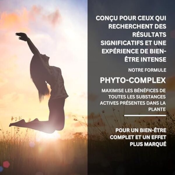 Hemp Phytomedical - Golden Hemp Oil 20% - Huile de Chanvre Haute Concentration 200mg/ml, Formule Phyto-Complex Spectre Large – Image 5