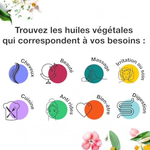 Huile Végétale de Chanvre - 100ml – Image 3