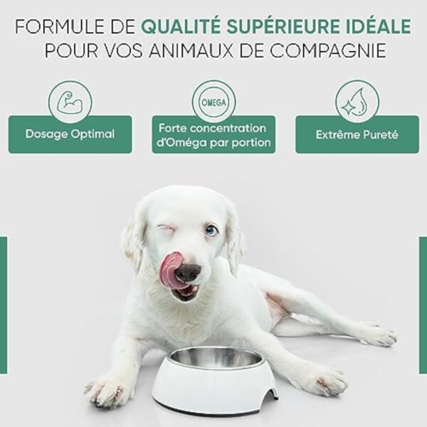 Huile de Graines de Chanvre Chien & Chat 60ml, Pressée à Froid, avec Oméga 3, 6, 9 - (Cannabis Sativa) - Source des Vitamines A, B, D - pour l'Anxiété & Le Stress - Fabriqué en UE – Image 3
