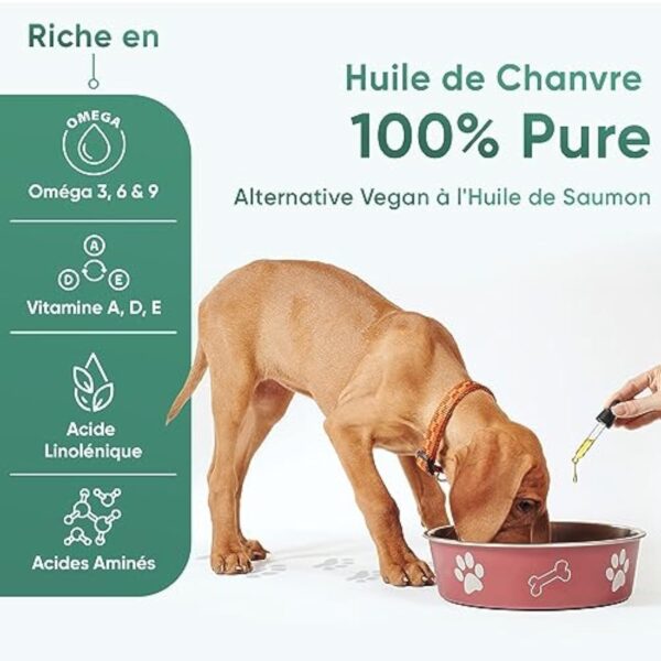 Huile de Graines de Chanvre Chien & Chat 60ml, Pressée à Froid, avec Oméga 3, 6, 9 - (Cannabis Sativa) - Source des Vitamines A, B, D - pour l'Anxiété & Le Stress - Fabriqué en UE – Image 4