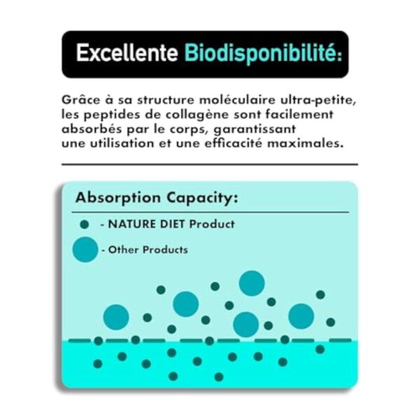Nature Diet Multi Collagène en poudre sans saveur 400G, Peptides de collagène hydrolysés hautement biodisponibles de Type : I, II, III, V et X, contiens collagen marin – Image 7