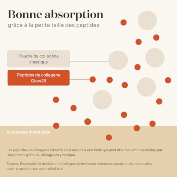 Poudre de collagène Glow25® [450g] - L'original - Collagène premium hydrolisé pur - Peptides de type 1 et 3 - Solubilité parfaite - Collagene naturel – Image 4