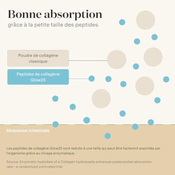 Poudre de collagène marin Glow25® [300g] - Solubilité parfaite - Peptides de collagène à boire - Collagène hydrolisé bioactif pur - Naturel – Image 5