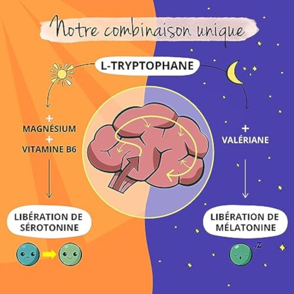 Tryptophane 600 mg | Avec Valériane, Magnesium et Vitamine B6 | Aide au Sommeil + Humeur | 120 Gélules | Vegan & Sans Additifs | Vegavero® – Image 6
