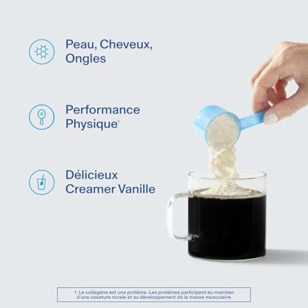 Vital Proteins Creamer Collagen Vanille - Peptides de Collagène - Peau, Ongles, Cheveux - Sans Sucres Ajoutés, Sans Gluten, Saveur Vanille - 10g par portion - Boite de 295g. – Image 4
