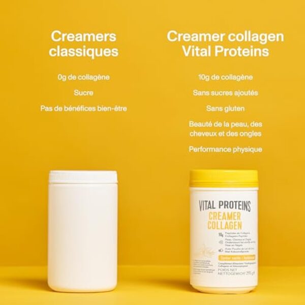 Vital Proteins Creamer Collagen Vanille - Peptides de Collagène - Peau, Ongles, Cheveux - Sans Sucres Ajoutés, Sans Gluten, Saveur Vanille - 10g par portion - Boite de 295g. – Image 6