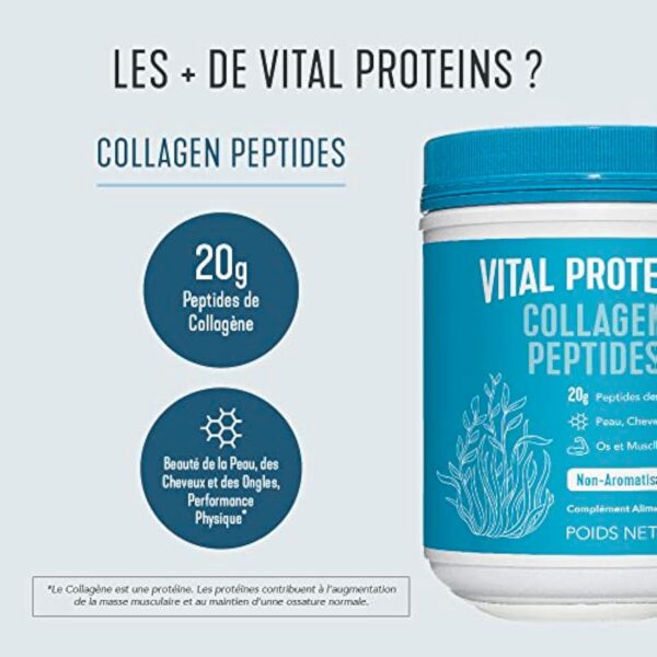 Vital Proteins, Collagène à boire, Complément Alimentaire, Peptides de Collagène Hydrolysés, Non Aromatisé, 567g – Image 5
