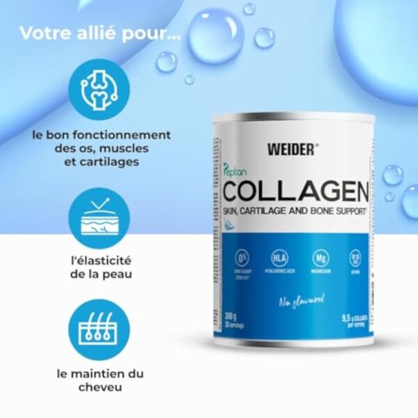 Weider Collagen. Peptide de collagène hydrolisé Peptan . Enrichi d’acide hyaluronique, de magnésium et de vitamine C. Pour la santé des os et des articulations. Sans arôme. 300g – Image 3