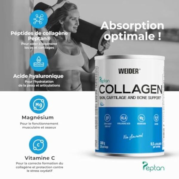 Weider Collagen. Peptide de collagène hydrolisé Peptan . Enrichi d’acide hyaluronique, de magnésium et de vitamine C. Pour la santé des os et des articulations. Sans arôme. 300g – Image 4