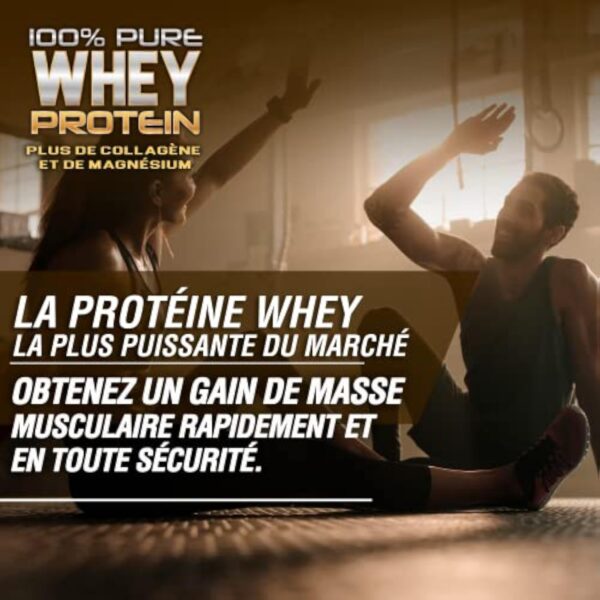 Whey Protein | Protéine pure avec Collagène + Magnésium | Tonifie et augmente la masse musculaire | Protège les muscles et aide à la récupération des tissus fibreux | 1000g de protéines chocolat – Image 5