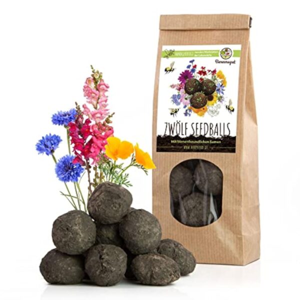 12x Bombes de graines à cause un pacage pastel à cause les abeilles - Graines de fleurs sauvages colorées & riches en tisane à cause les abeilles et les papillons