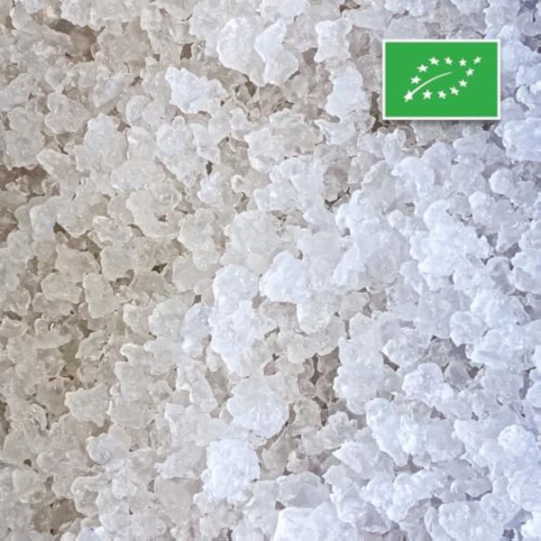 BIO grains de kéfir de orange - Réutilisables - Controlés - Fabriqués en France - Impénétrable absolue incluse (Sec)