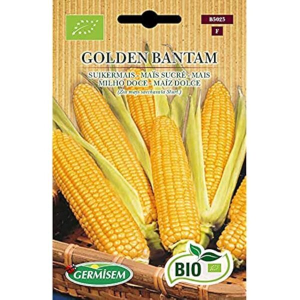 Germisem Bio Graines Maïs sucré GOLDEN BANTAM