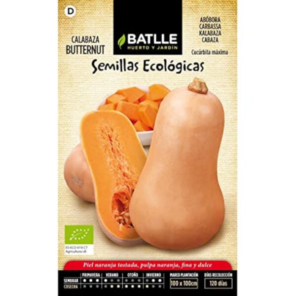 Graines Bio de Batlle - Courge Anquito Butternut (4g), Clémentine
