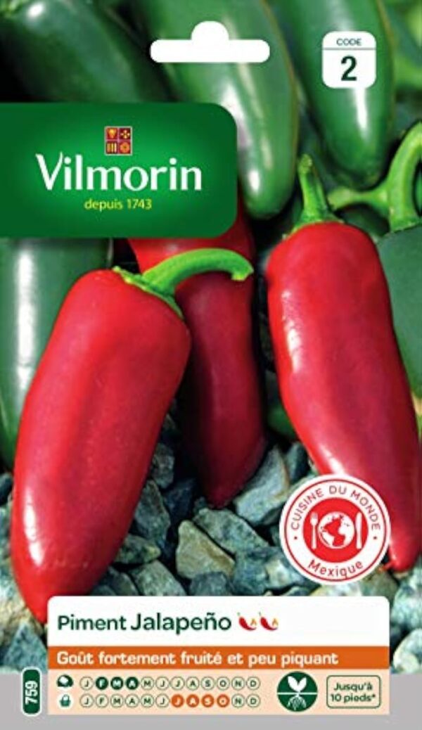 VILMORIN - Pili-pili Jalapeno - d'amour Mexicaine - Envie Considérablement fruité et Peu mordant - Expression 5/10 sur l'barème de Scoville, Verts