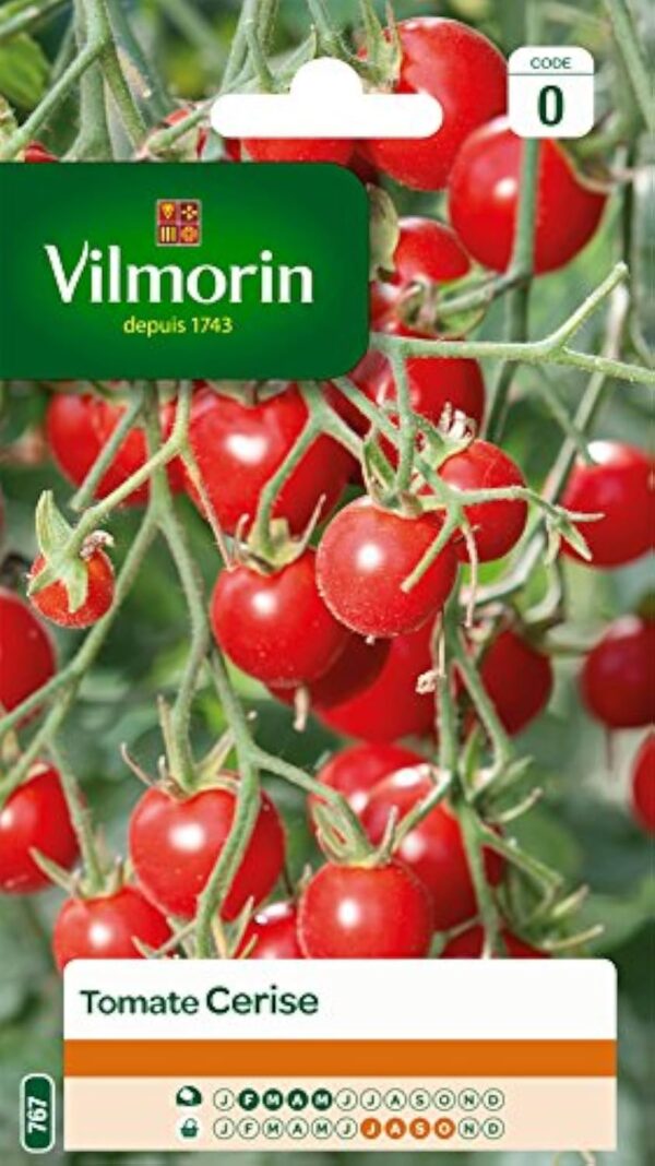 Vilmorin 3974040 Tomate burlat Congestionné