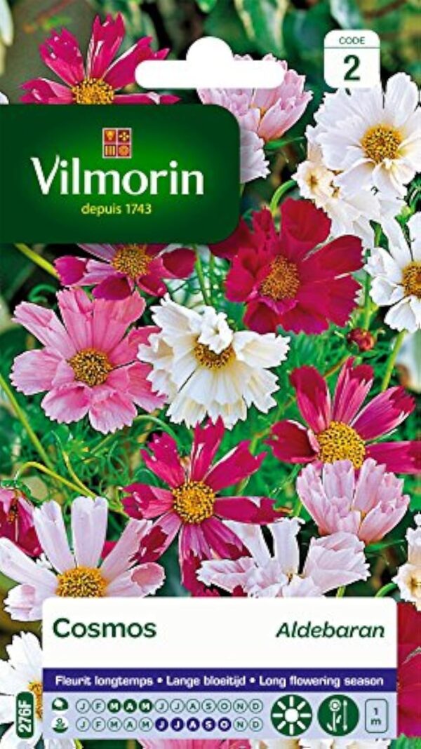 Vilmorin 5248842 Banquette de Graines Monde Aldebaran Pétales Tubules