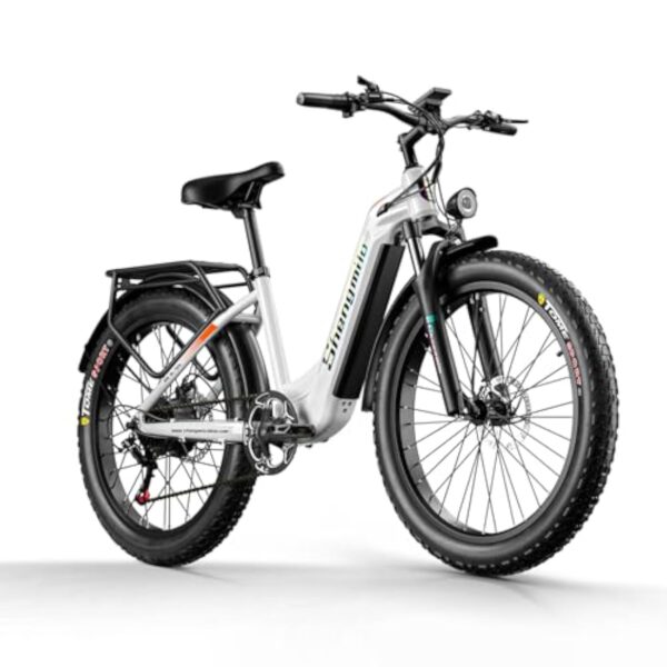 Electr Bécane électrique 66 pouces 80 N.M Bécane électrique dans consommé Accumulateur 48 V 17,5 Ah Pneumatique neige E-bike