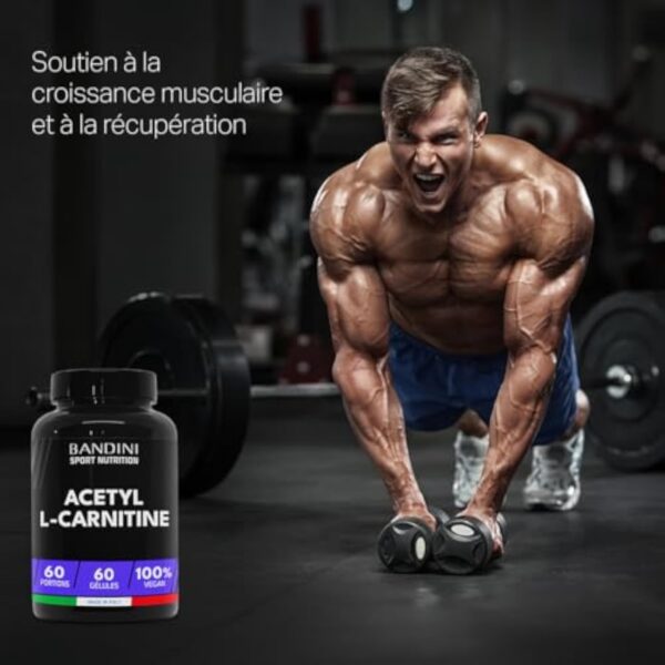 Bandini® ACETYL L-CARNITINE 1000 mg (PAR GÉLULES) - Supplément à base de Acetil L Carnitin (60 Capsules) - Idéal pour Athlètes et Sportifs qui Pratiquent une Activité Physique de Haute Intensité – Image 5